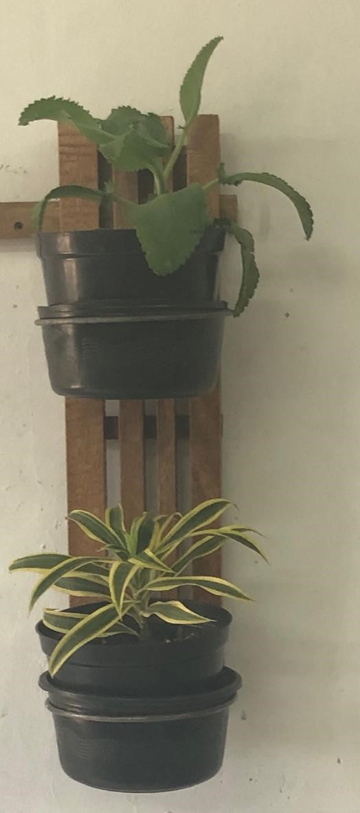 Rethyn Herb Garden (Set of 2)