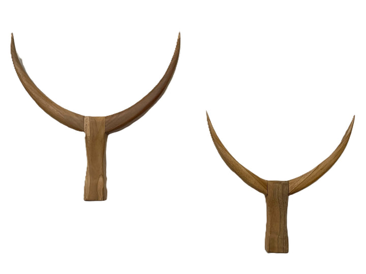 Torvale Horns - Set of 2