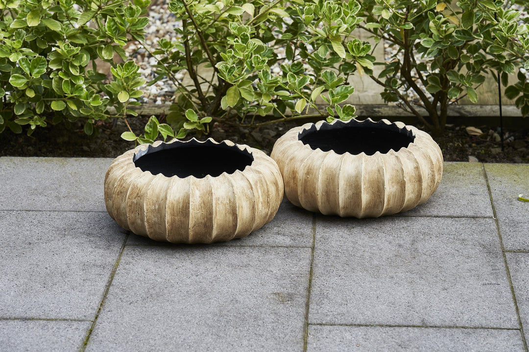 Isvane - Scalloped Bowl - Old Cream (pack of 2)