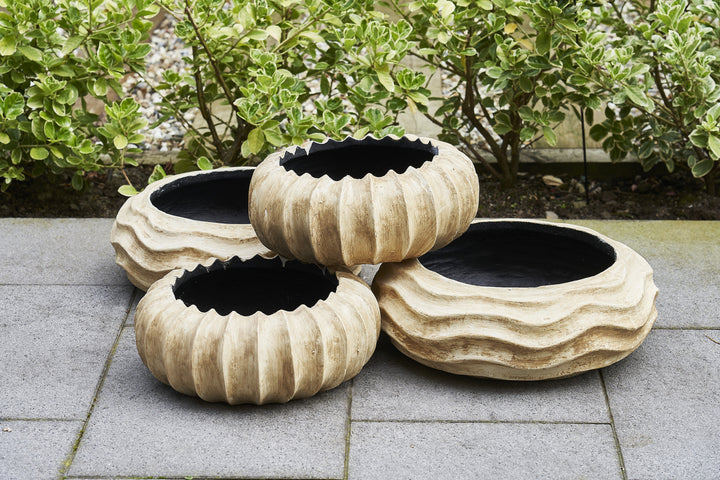 Isvane - Scalloped Bowl - Old Cream (pack of 2)