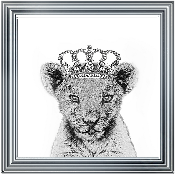 Princess Cub