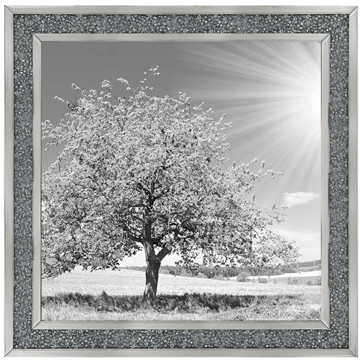 LS296 Black & White Lone Tree