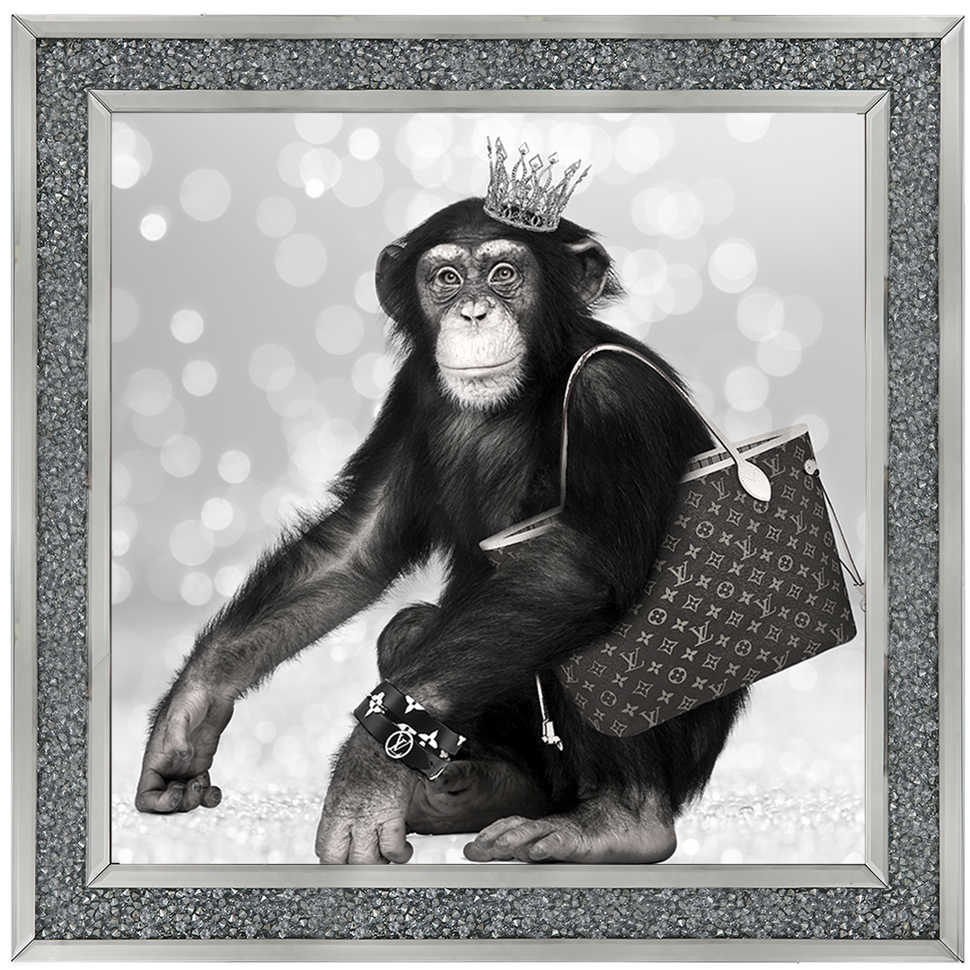 AN151 Designer Monkey