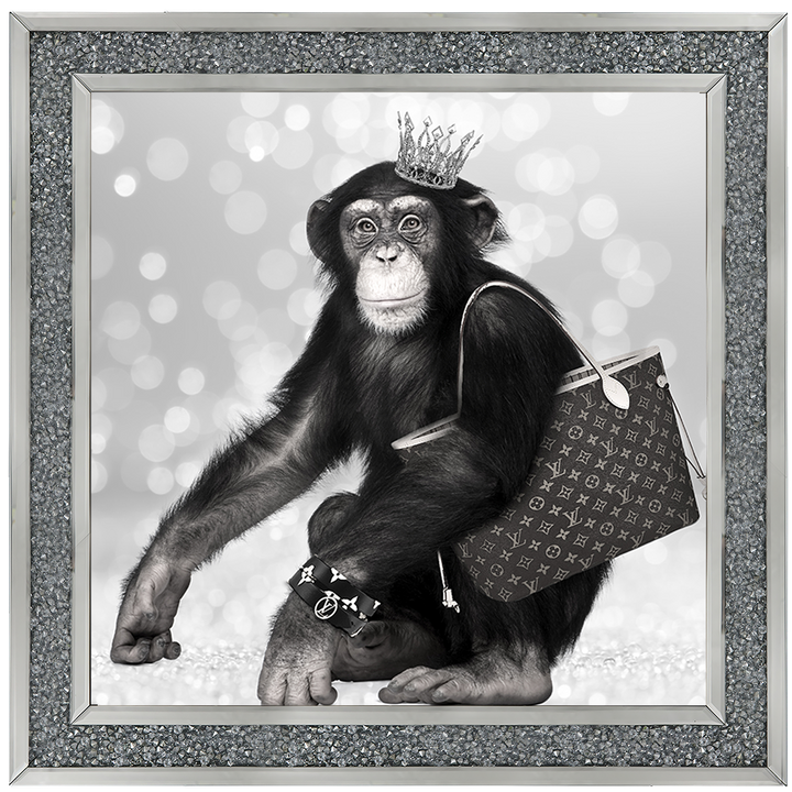 AN151 Designer Monkey