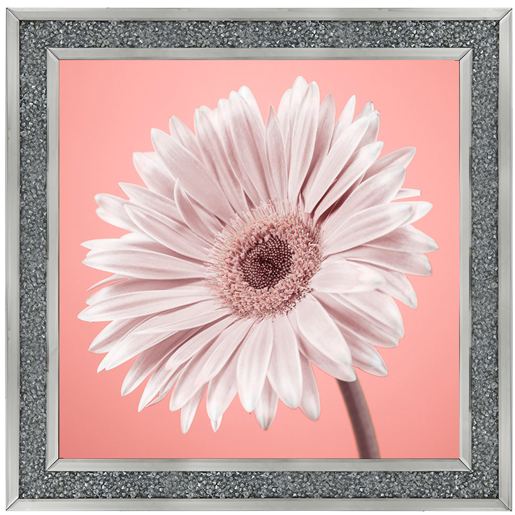 FL057 Single Gerbera Nude pink II