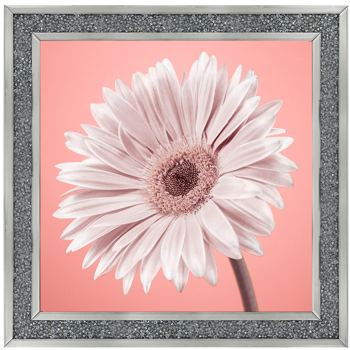 FL057 Single Gerbera Nude pink II
