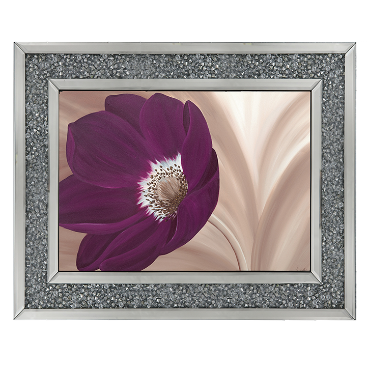 Velvet Anemone