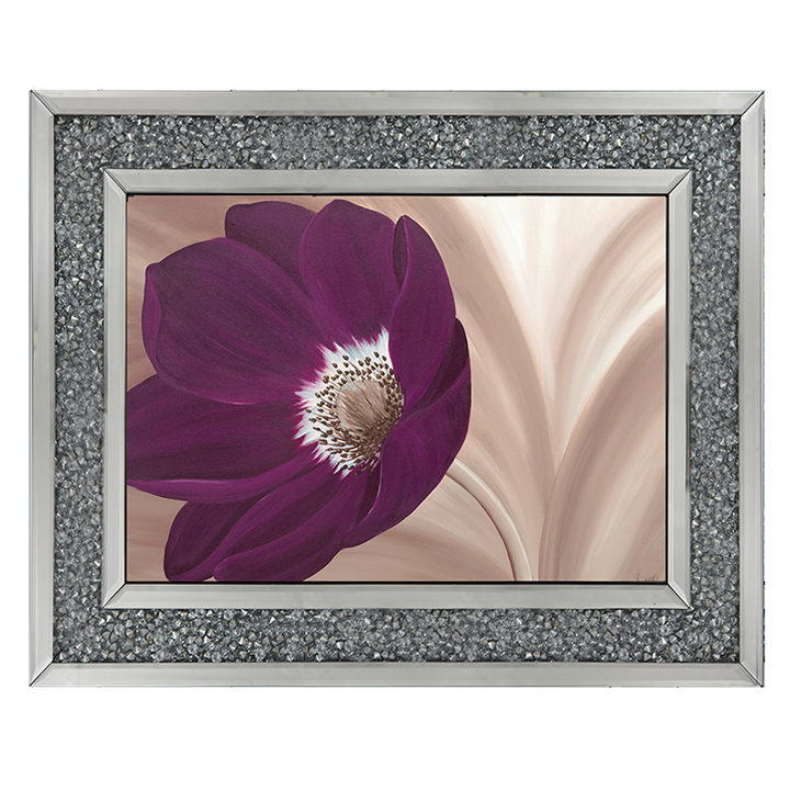 Velvet Anemone