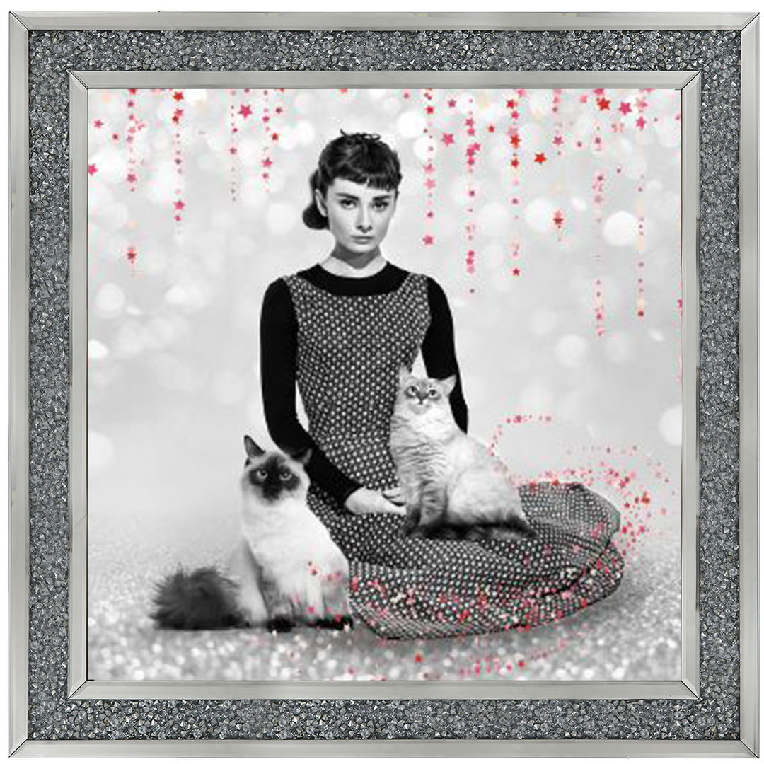 IC011 Audrey and cats