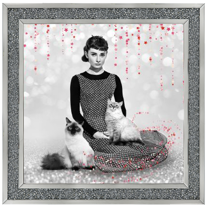 IC011 Audrey and cats