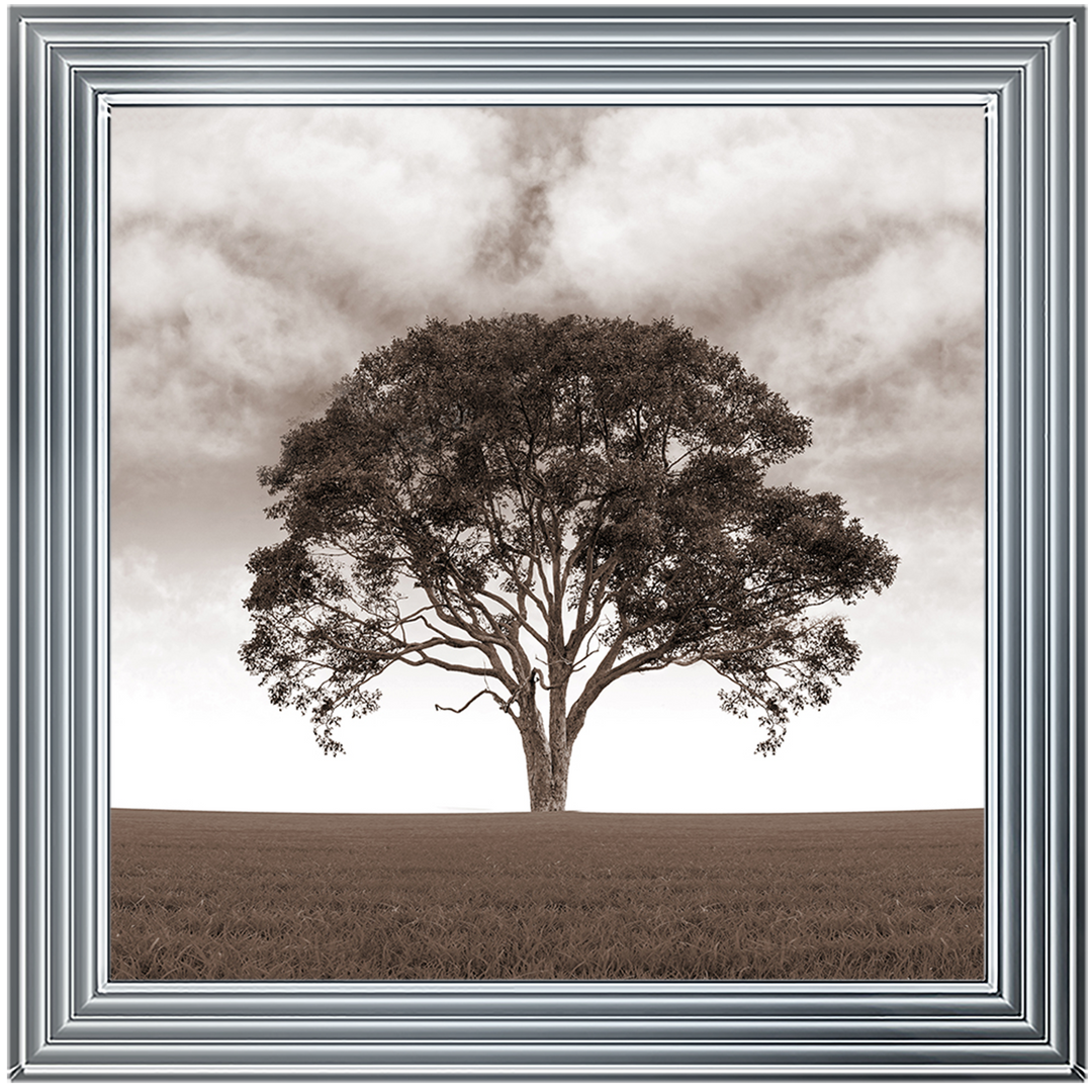 LS189 Lone Tree