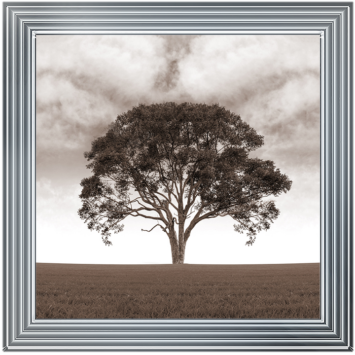 LS189 Lone Tree