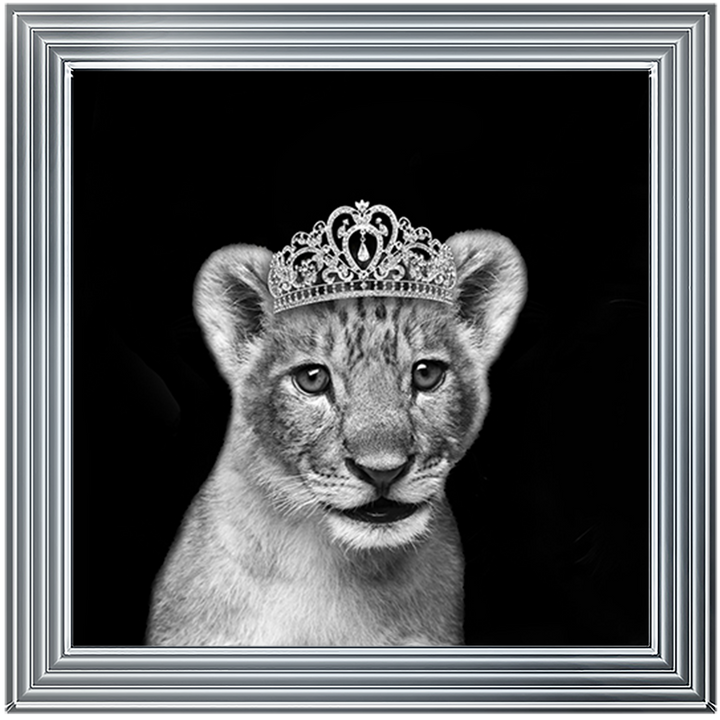 Princess Cub Silver
