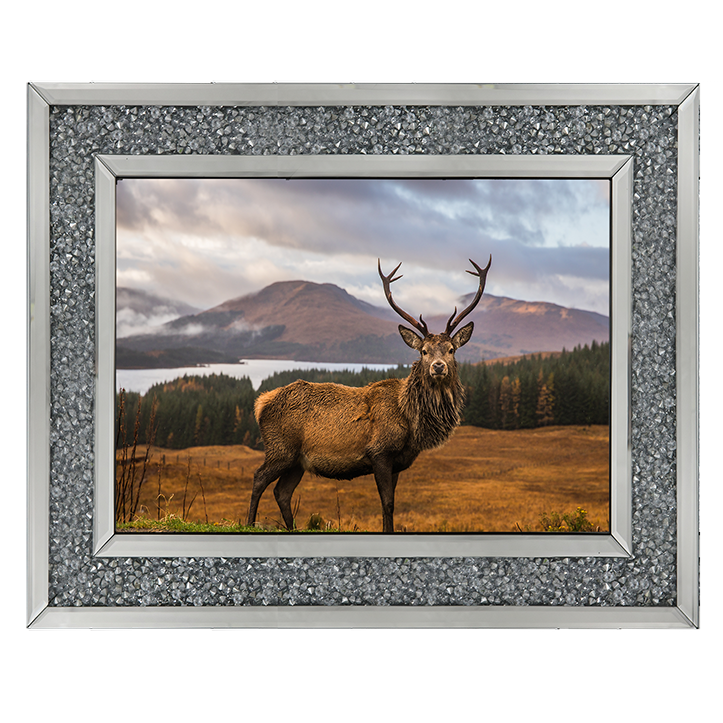 AN066 Highland Stag