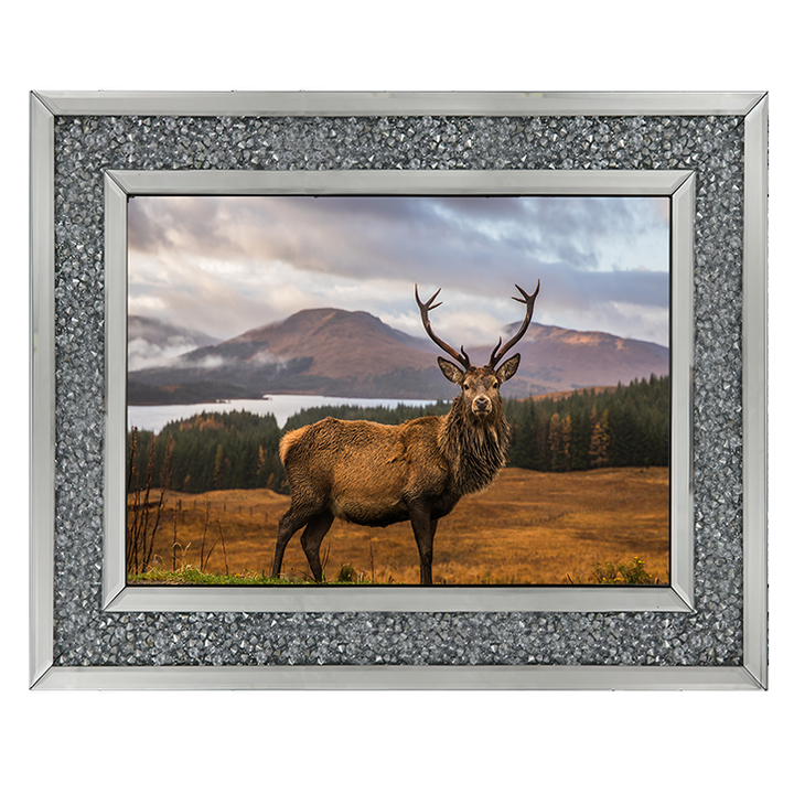 AN066 Highland Stag