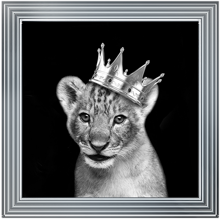 Prince Cub Silver