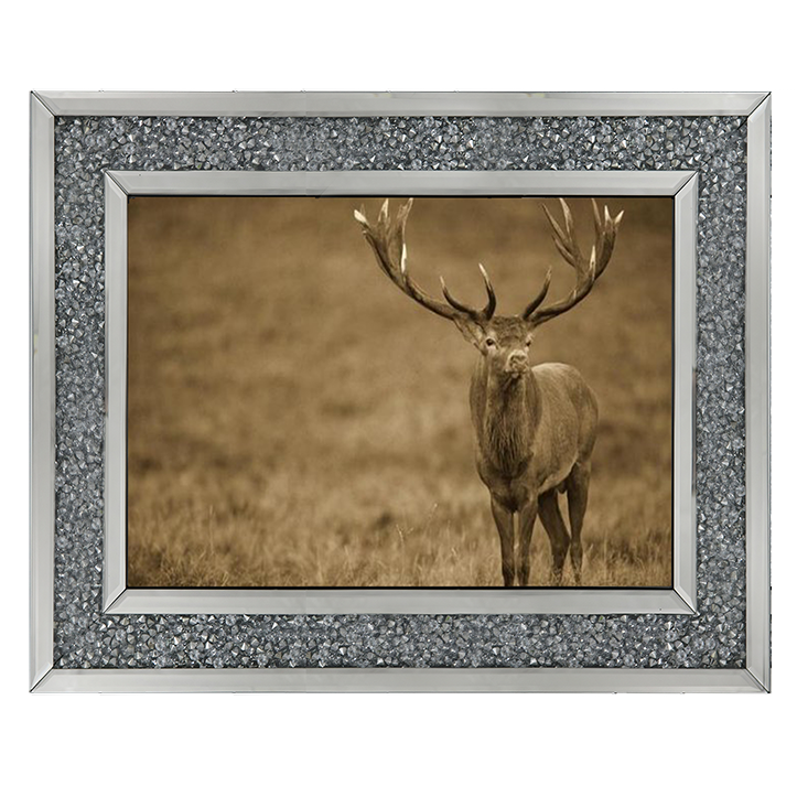 AN065 Red Deer stag in autumn rutting season, Denmark