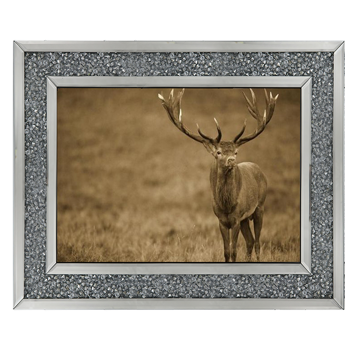 AN065 Red Deer stag in autumn rutting season, Denmark