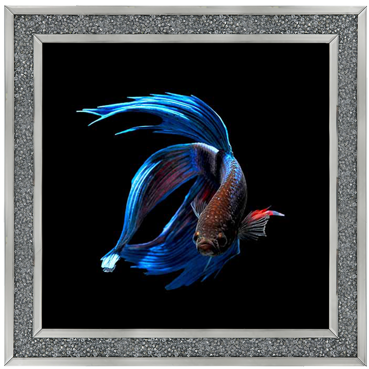 AN448 Blue & Red Betta Fish |