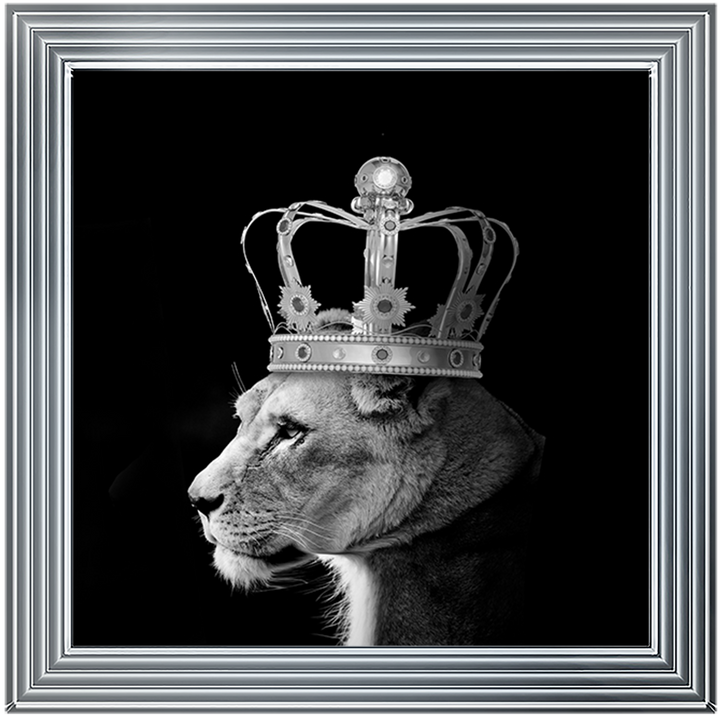 Queen Lion Silver