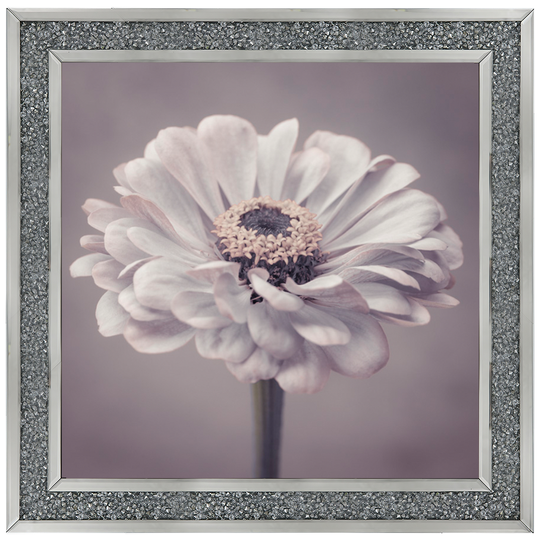 FL150 Gerbera