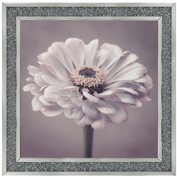 FL150 Gerbera