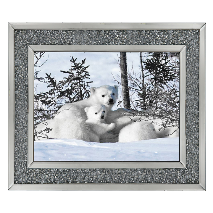 Winter Cubs