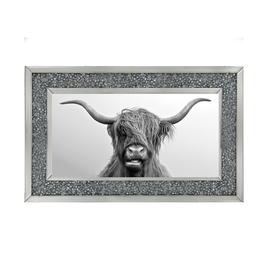 Highland Cow