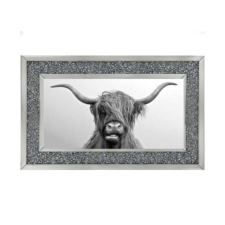 Highland Cow