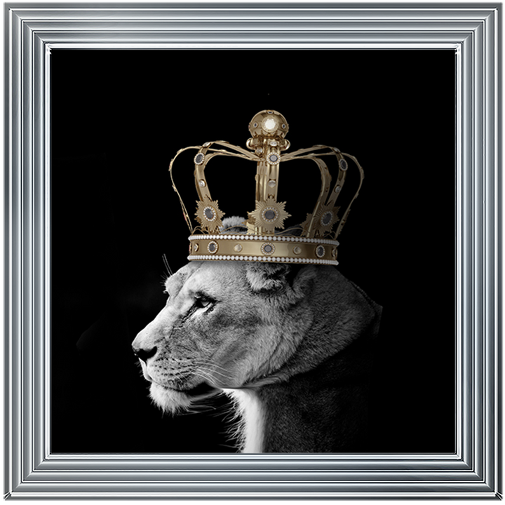 Queen Lion Gold