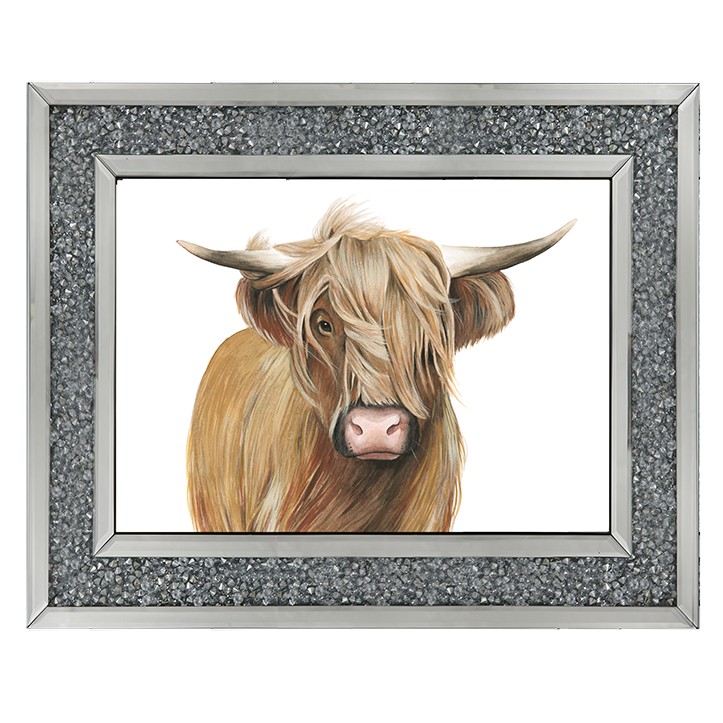 Highland Cattle I