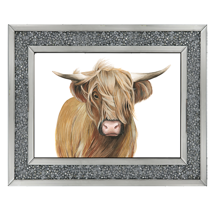 Highland Cattle I