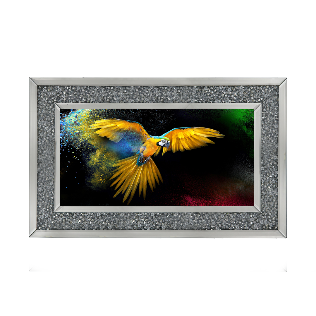 AN311 Rainbow parrot