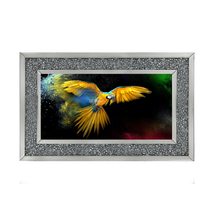 AN311 Rainbow parrot