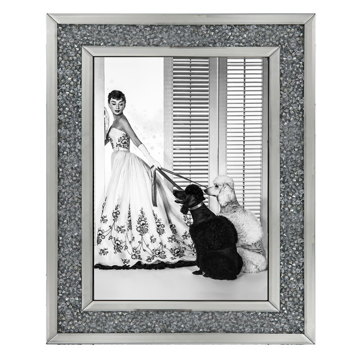 IC005 Audrey Hepburn Poodles