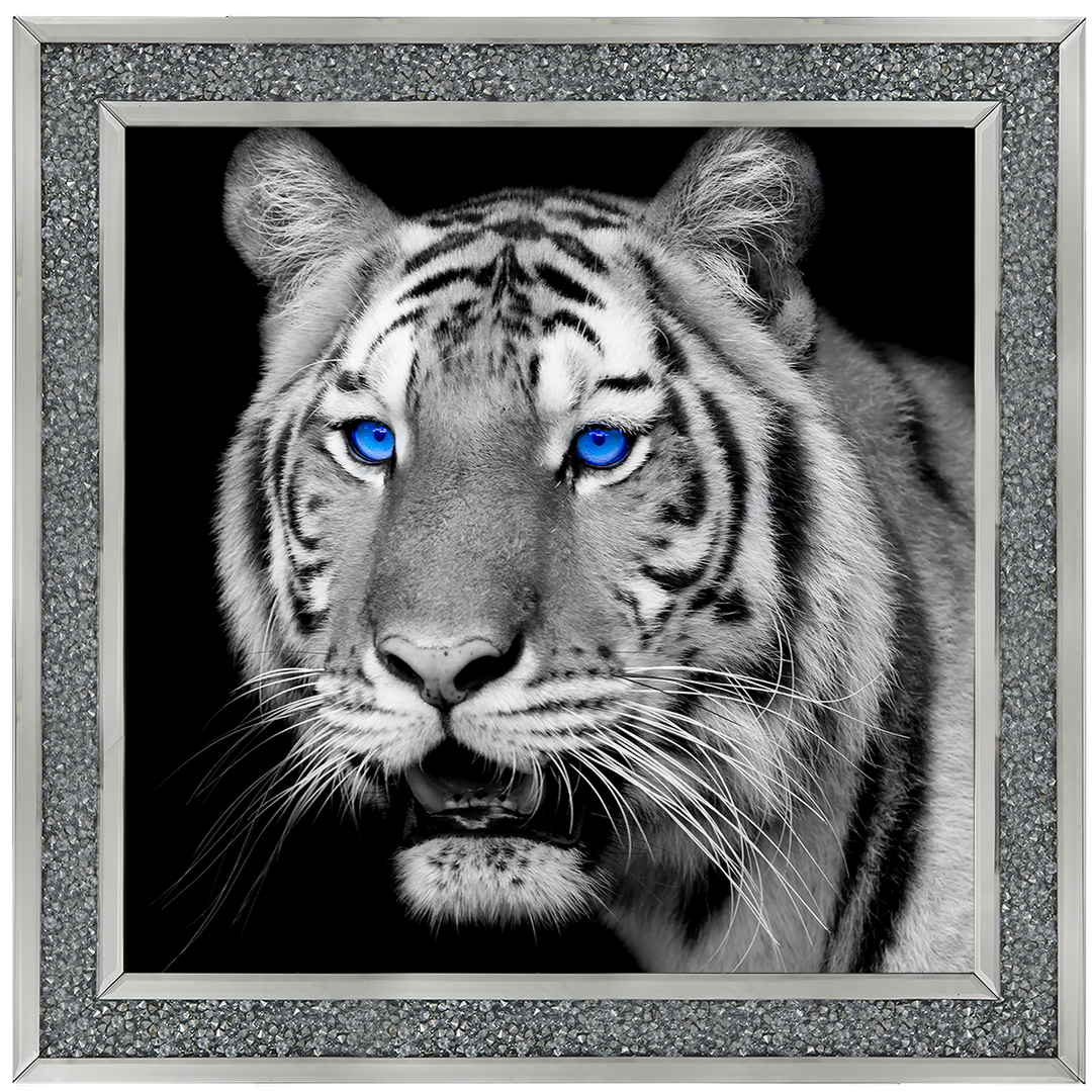 AN005 Blue Eyed Tiger