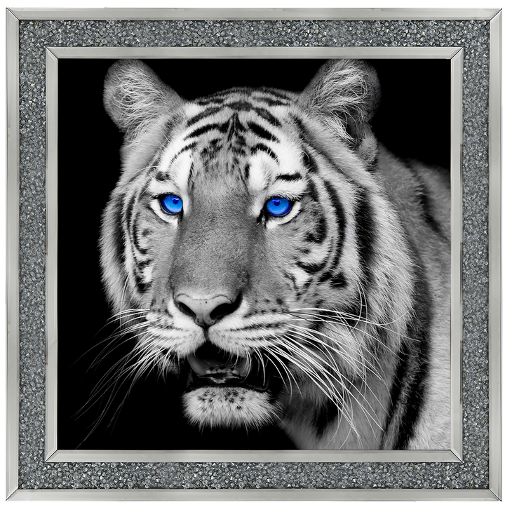 AN005 Blue Eyed Tiger