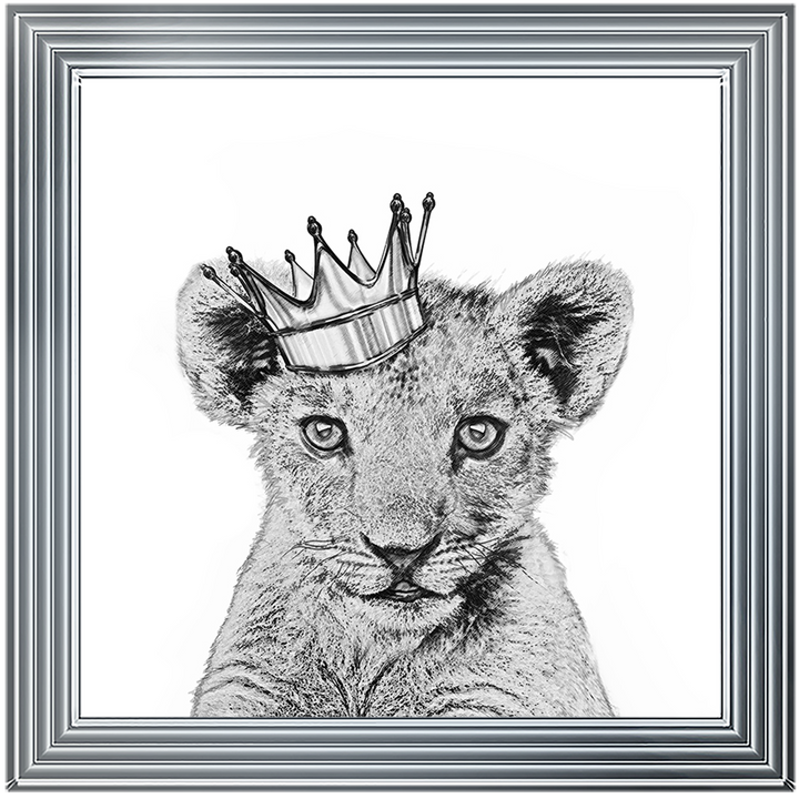 Prince Cub