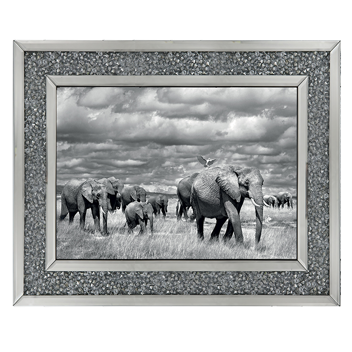 Elephants of Kenya