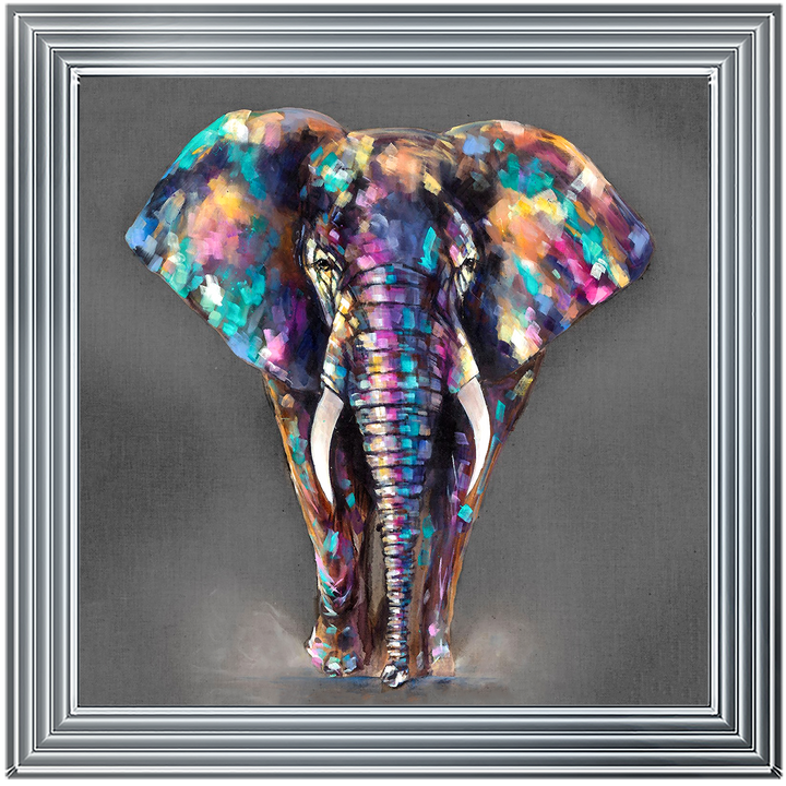 AN340 Colourful Elephant
