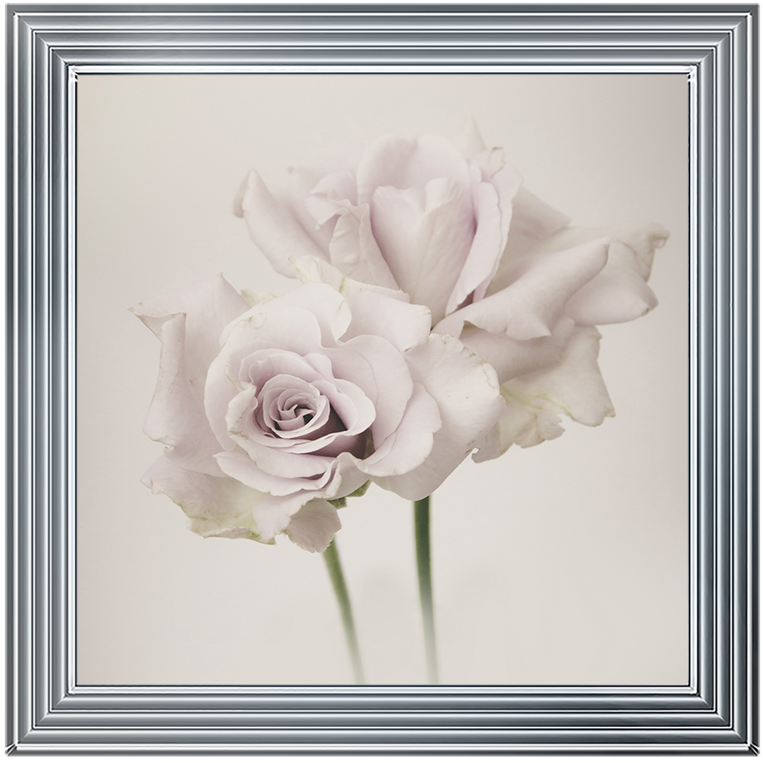 FL188 Flower Love