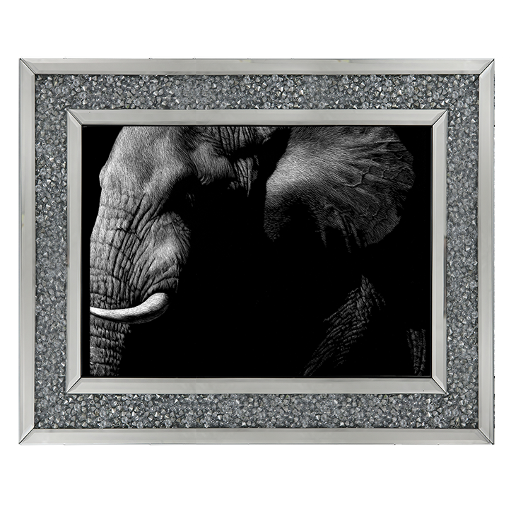 AN026 Wildlife Scratchboards III