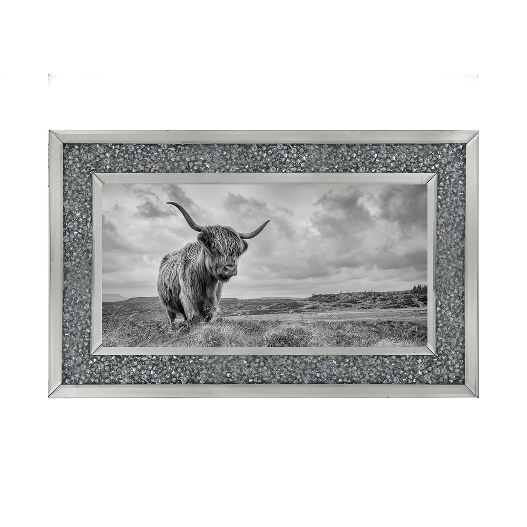 Highland Cow II