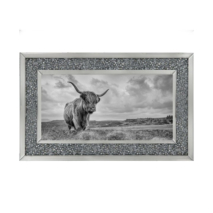 Highland Cow II