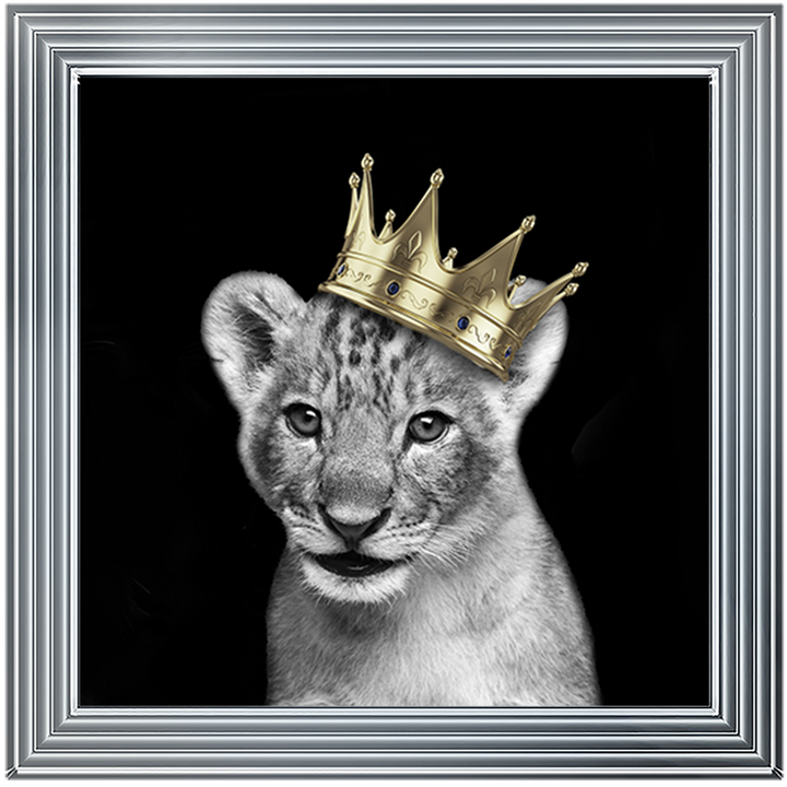 Prince Cub Gold