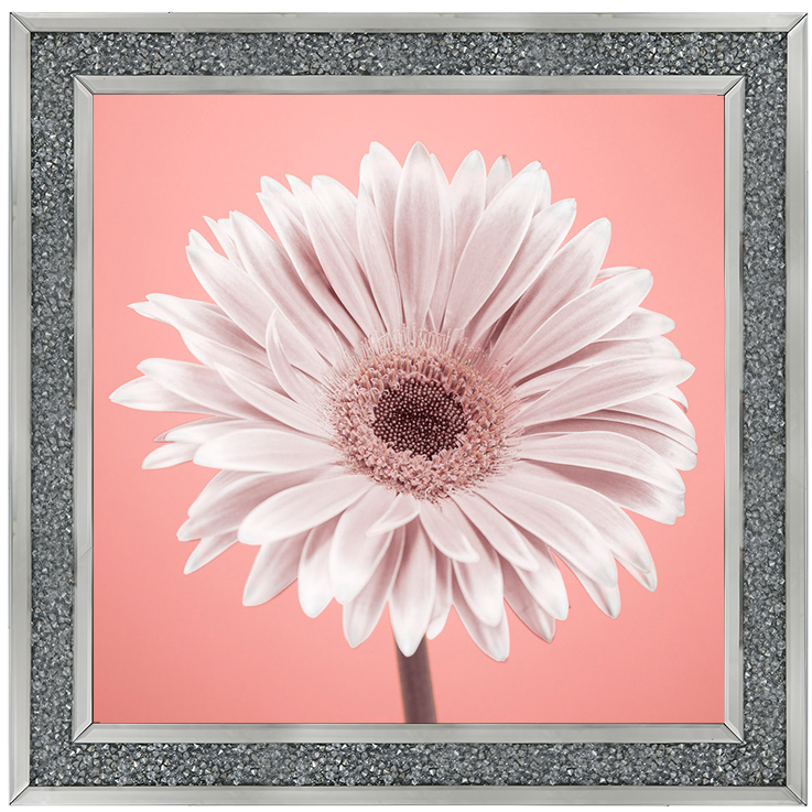 FL056 Single Gerbera Nude pink 1