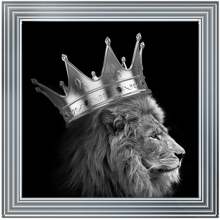 AN298 King Lion Silver