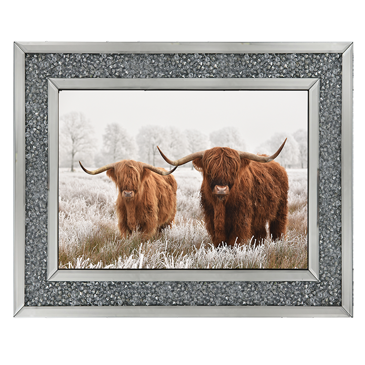 Highland Cow pair