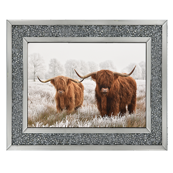 Highland Cow pair
