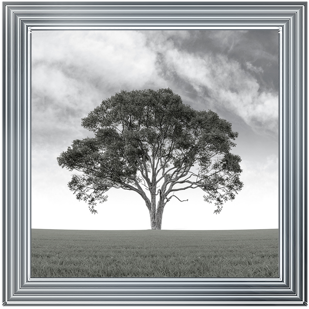 LS190 Lone Tree 1